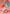 30548e41cf980bd2eef4603eaa1ba00c