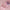 1e8a5e540b007f43c8e2787d2af2508f